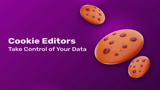 使用cookies editor登录facebook脸书账号视频演示教程｜社媒账号运营与增长指南